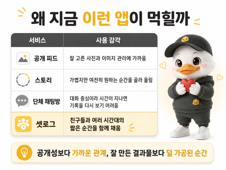 공개 피드, 스토리, 단체 채팅방, 셋로그의 사용 감각을 비교한 표 이미지
